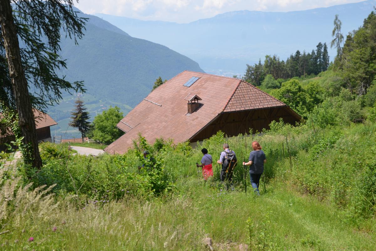 Partschonerhof 10.06.2023